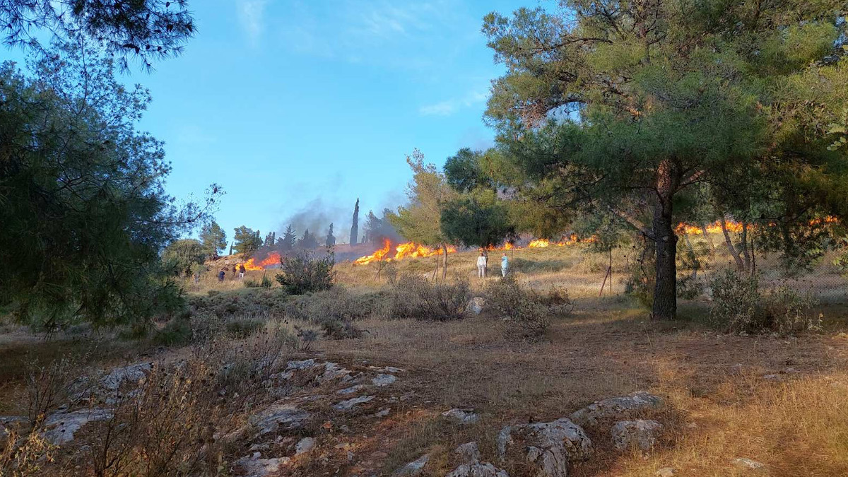 Πυρκαγιά στο Άλσος Βεΐκου - Γαλάτσι - Αττική - Μέτρα πυροπροστασίας ζητά από το Δημοτικό Συμβούλιο Γαλατσίου η «Λαϊκή Συσπείρωση»