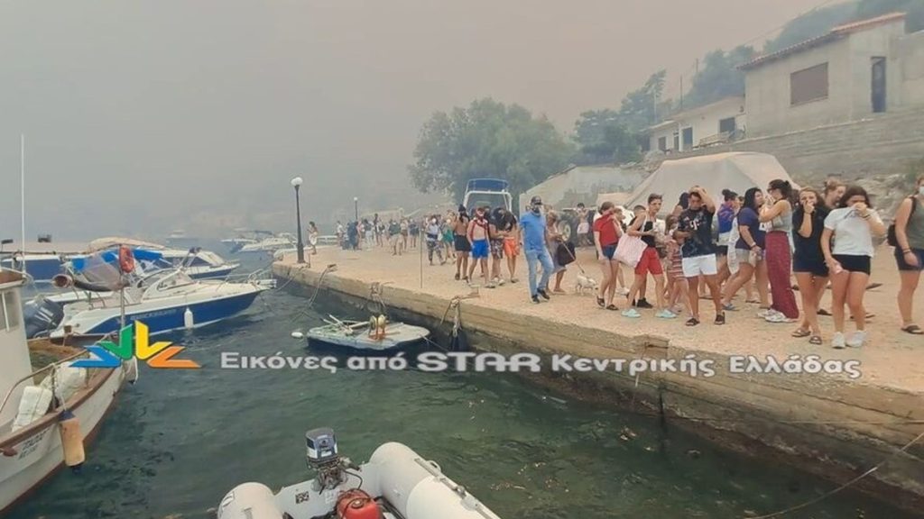 Βοιωτία: Δύο πυρκαγιές κατακαίνε τα πάντα - Πυροσβέστες από Μαγνησία χωρίς την παραμικρή μέριμνα