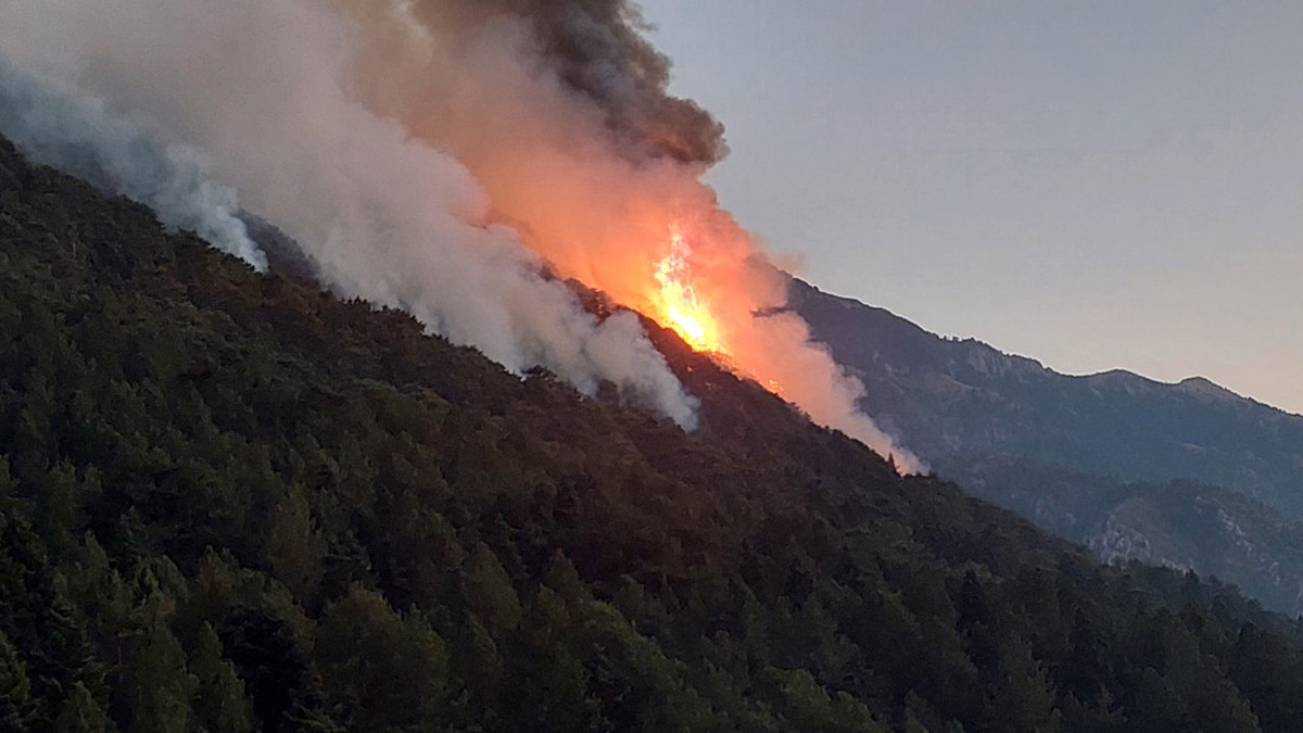 Κόνιτσα: Ανεξέλεγκτη για 7η μέρα η πυρκαγιά